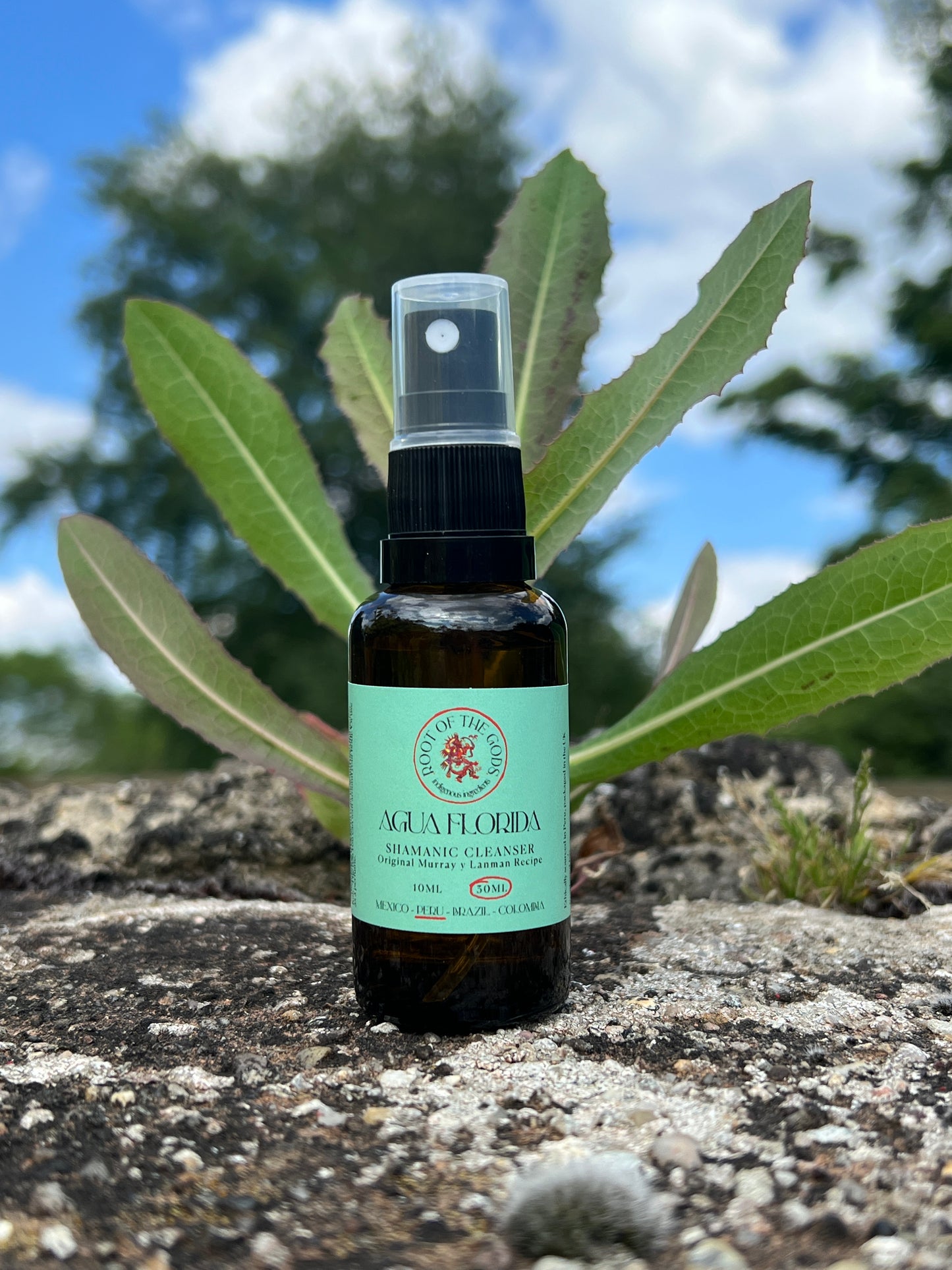 Agua Florida Shamanic Cleanser