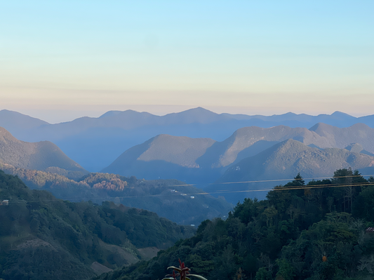 Sacred Talks: Vision Quest & Sun Dance Prayer on the Mountain With Don Alfonso Tenoch