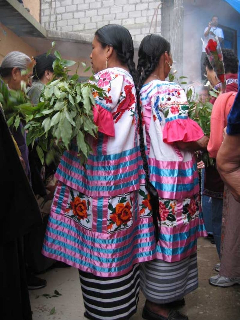 Retreat: Traditional Teonanacatl Mushroom Dieta, Mexico 6th-13th January 2023