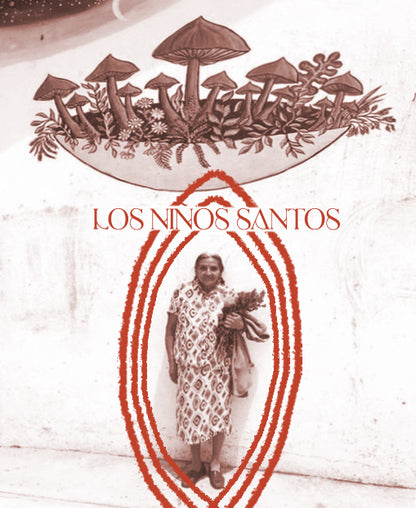 Retreat: Tradicional Teonanacatl Mushroom Dieta, México 22nd - 29th Jan 2027