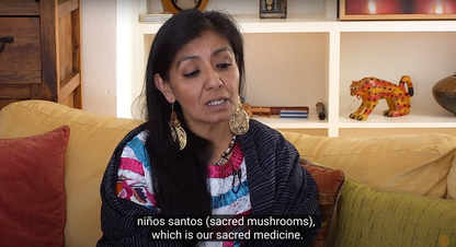 Retreat: Tradicional Teonanacatl Mushroom Dieta, México 22nd - 29th Jan 2027