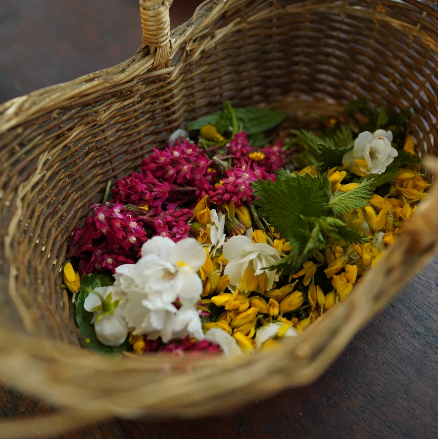 Sweatlodge: London Community Retreat Day