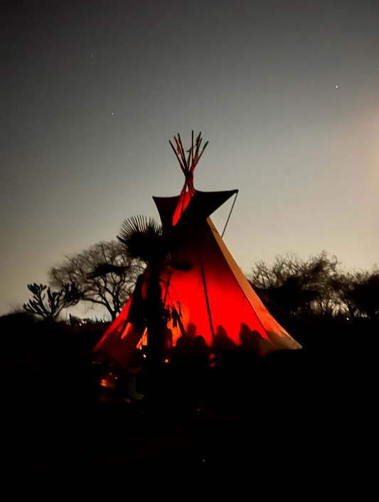 Sacred Talks: Vision Quest & Sun Dance Prayer on the Mountain With Don Alfonso Tenoch