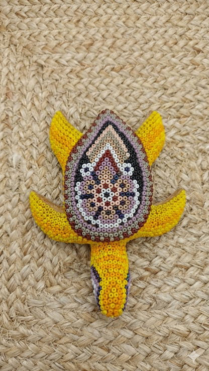Wirrarika Sacred Symbols for Altar