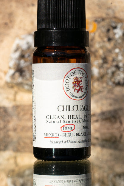 Chilcuague Mint Spray or "Golden Root"