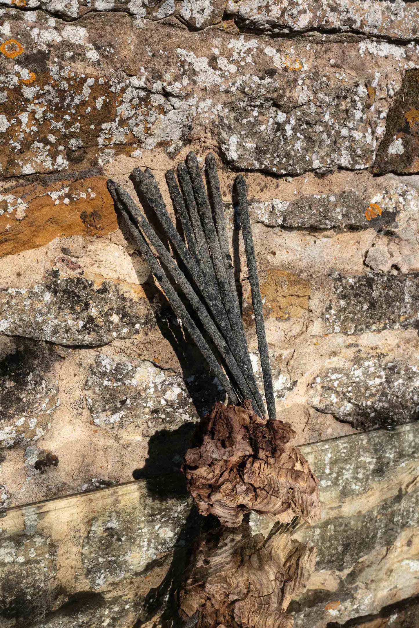 Mexican Copal Incense