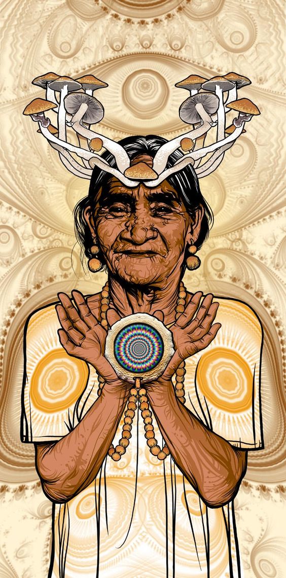 Retreat: Traditional Teonanacatl Mushroom Dieta, Mexico 23rd - 30th Jan. 2026